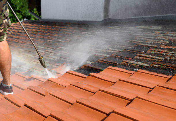 Best Pressure Washing Patio  in Adelphi, MD