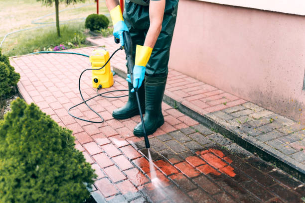 Best Affordable Pressure Washing  in Adelphi, MD