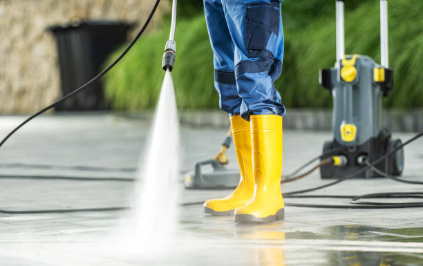 Best Roof Pressure Washing  in Adelphi, MD