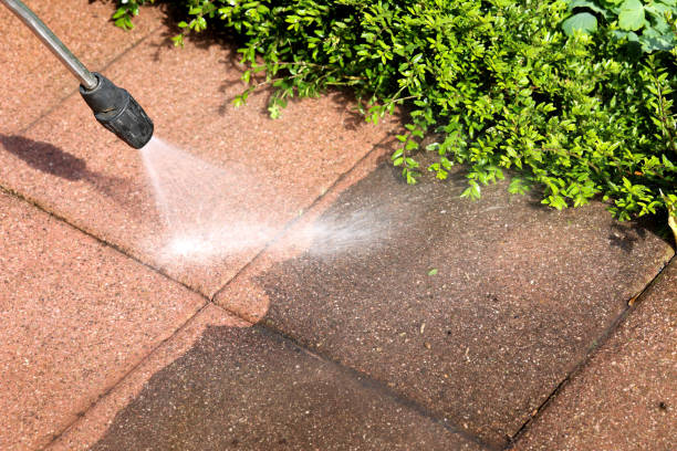 Best Garage Pressure Washing  in Adelphi, MD