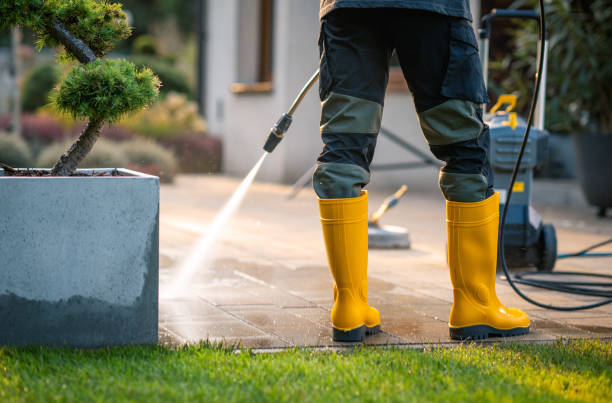 Best Exterior Home Cleaning  in Adelphi, MD
